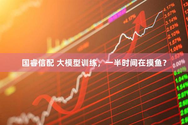 国睿信配 大模型训练，一半时间在摸鱼？