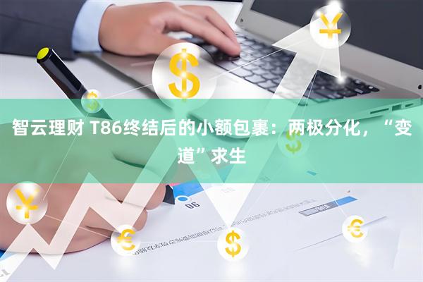 智云理财 T86终结后的小额包裹：两极分化，“变道”求生