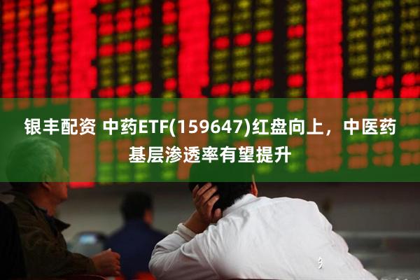 银丰配资 中药ETF(159647)红盘向上，中医药基层渗透率有望提升