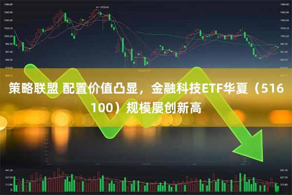 策略联盟 配置价值凸显，金融科技ETF华夏（516100）规模屡创新高