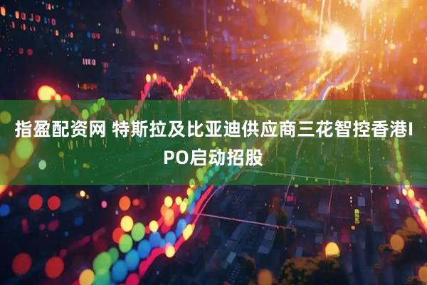 指盈配资网 特斯拉及比亚迪供应商三花智控香港IPO启动招股
