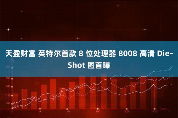 天盈财富 英特尔首款 8 位处理器 8008 高清 Die-Shot 图首曝