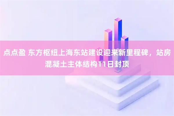 点点盈 东方枢纽上海东站建设迎来新里程碑，站房混凝土主体结构11日封顶