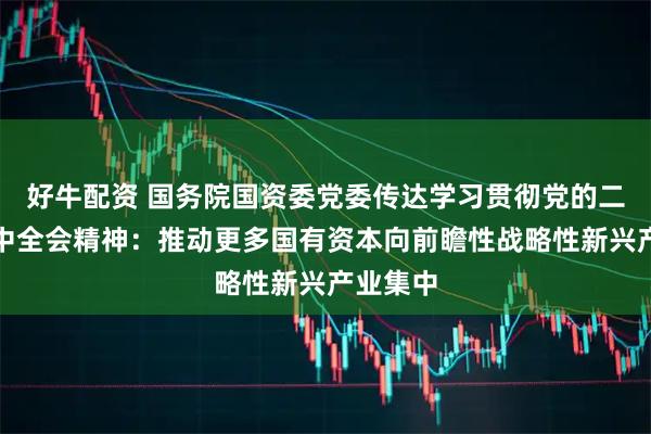 好牛配资 国务院国资委党委传达学习贯彻党的二十届四中全会精神:推动更多国有资本向前瞻性战略性新兴产业集中