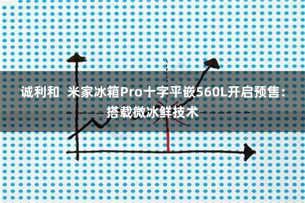 诚利和 米家冰箱Pro十字平嵌560L开启预售:搭载微冰鲜技术